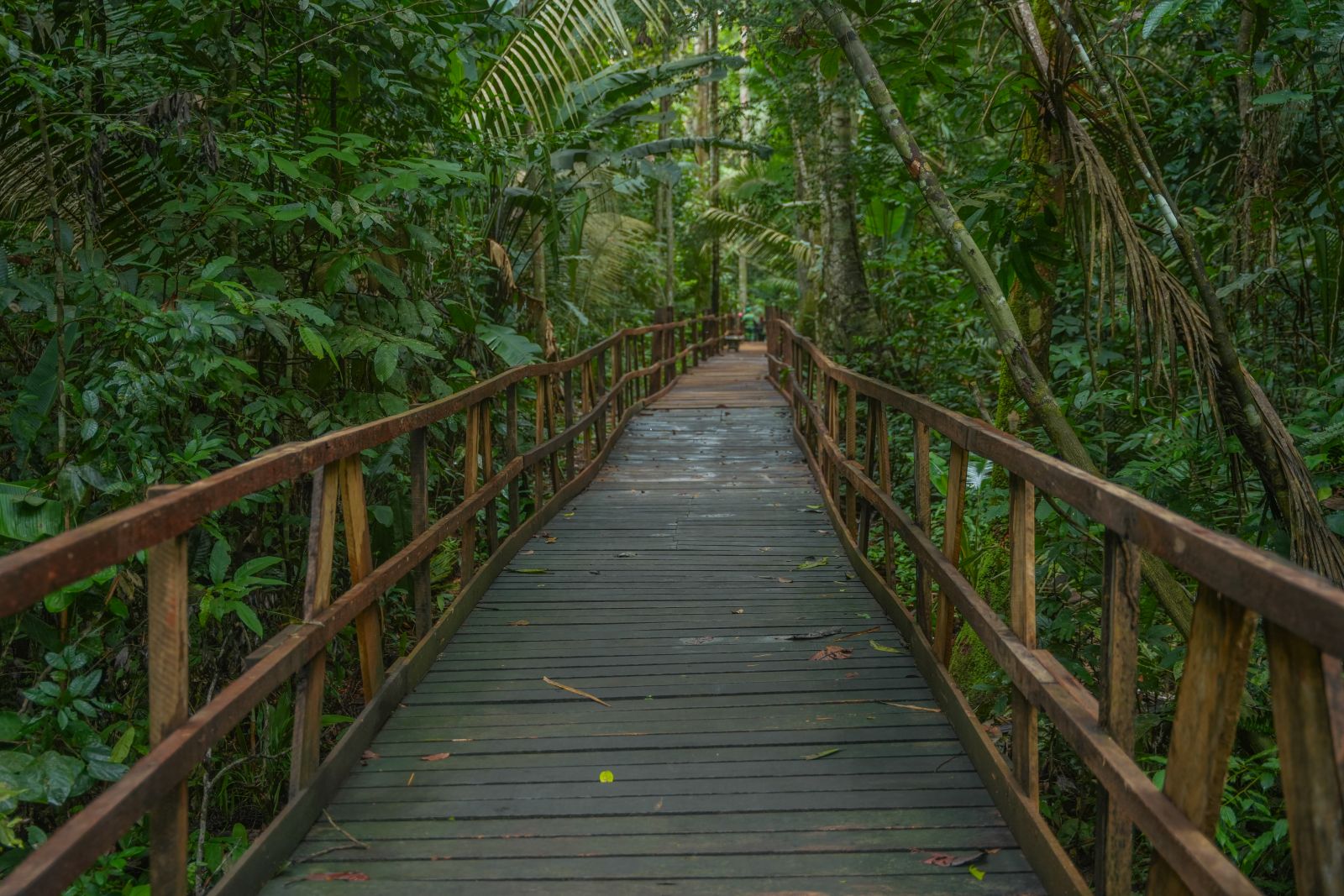 Parque Natural agora conta com uma nova atração: a Trilha Palafitada