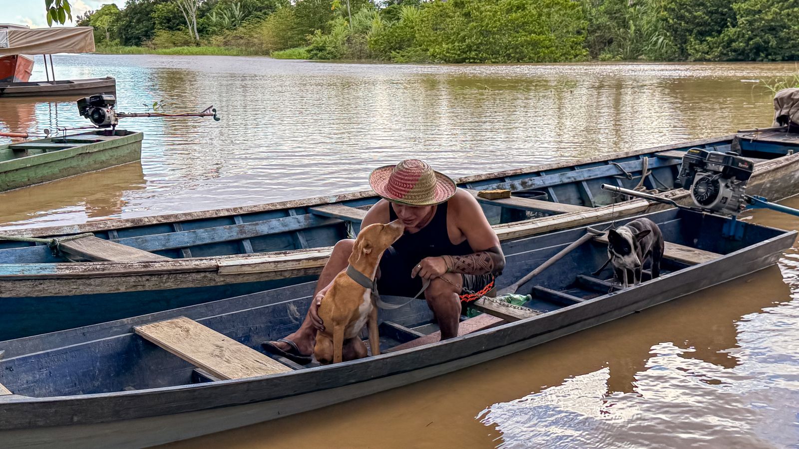 Muitos animais chegaram de barco, acompanhados por seus tutores